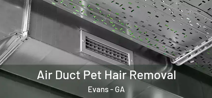  Air Duct Pet Hair Removal Evans - GA