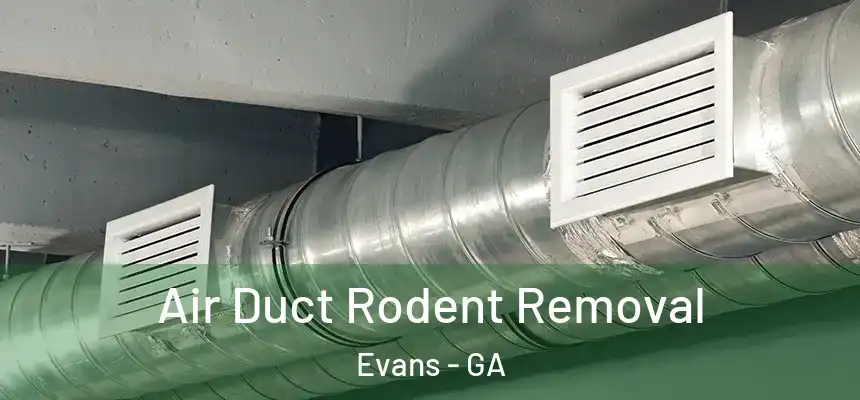 Air Duct Rodent Removal Evans - GA