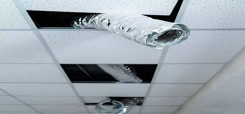 Our Air Duct Pet Hair Removal Services in Evans, GA