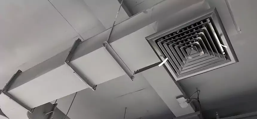 Restorative Allergy Relief Vent Cleaning – Coil, Blower & Housing Detail in Evans