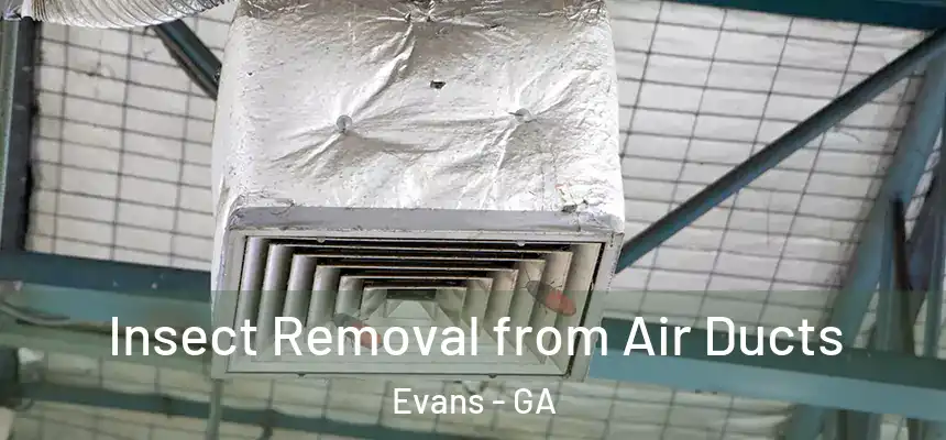 Insect Removal from Air Ducts Evans - GA