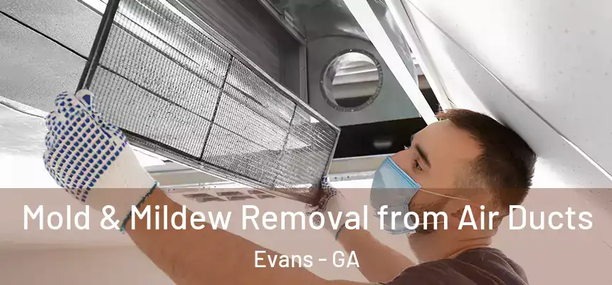 Mold & Mildew Removal from Air Ducts Evans - GA