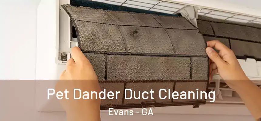 Pet Dander Duct Cleaning Evans - GA