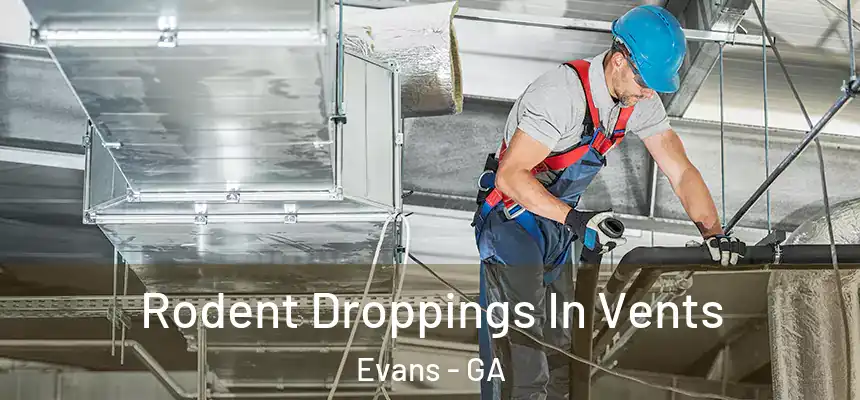 Rodent Droppings In Vents Evans - GA