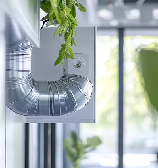 Professional Eco-Safe Dryer Vent Cleaning in Evans, GA