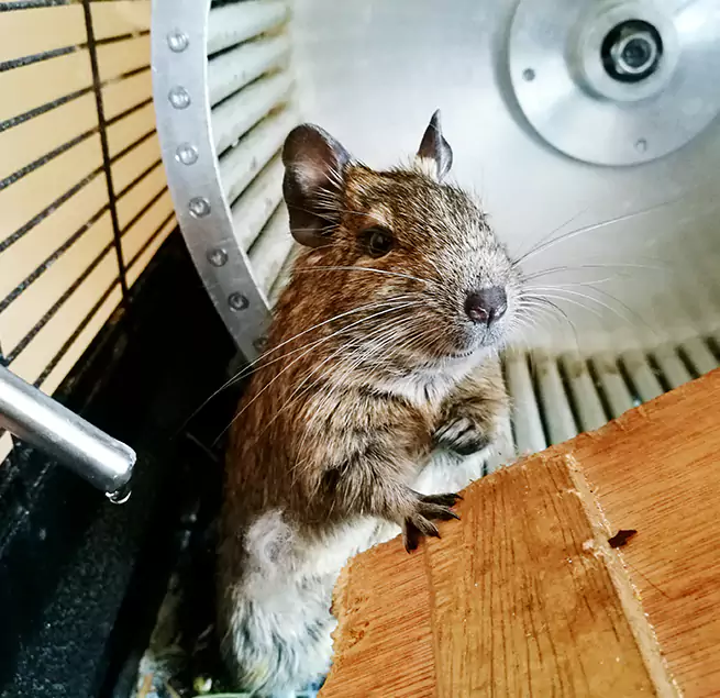 Why Homeowners & Businesses Trust Us Evans, GA