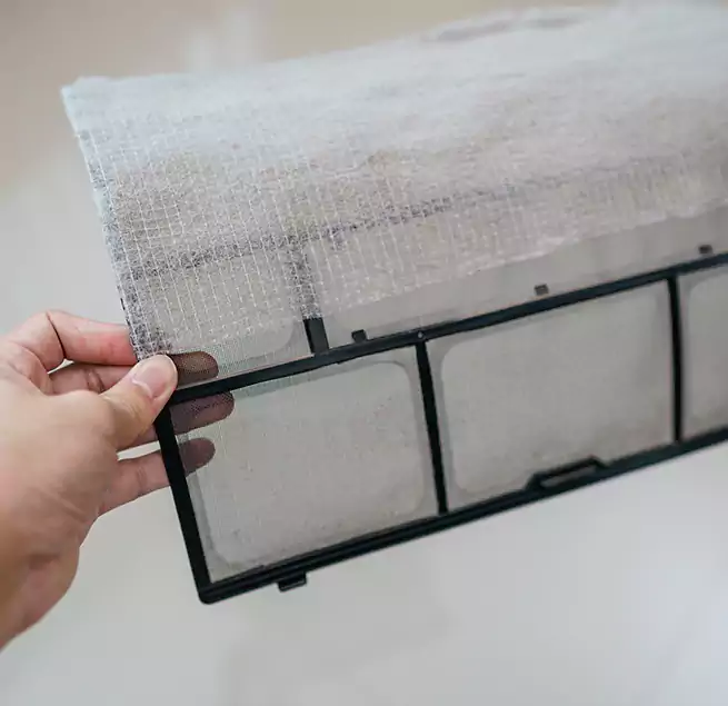 Why Homeowners & Businesses Trust Us in Evans, GA?