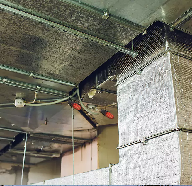 Why Homeowners & Businesses Trust Us Evans, GA?