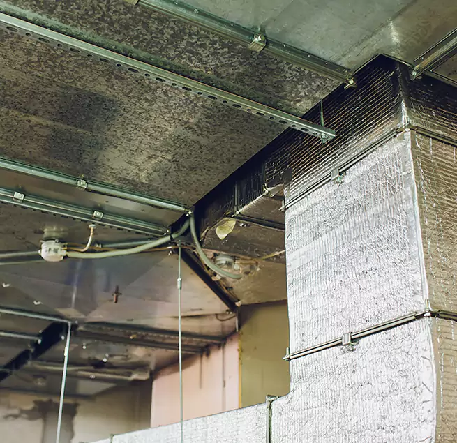 Why Homeowners & Businesses Trust Us in Evans, GA?